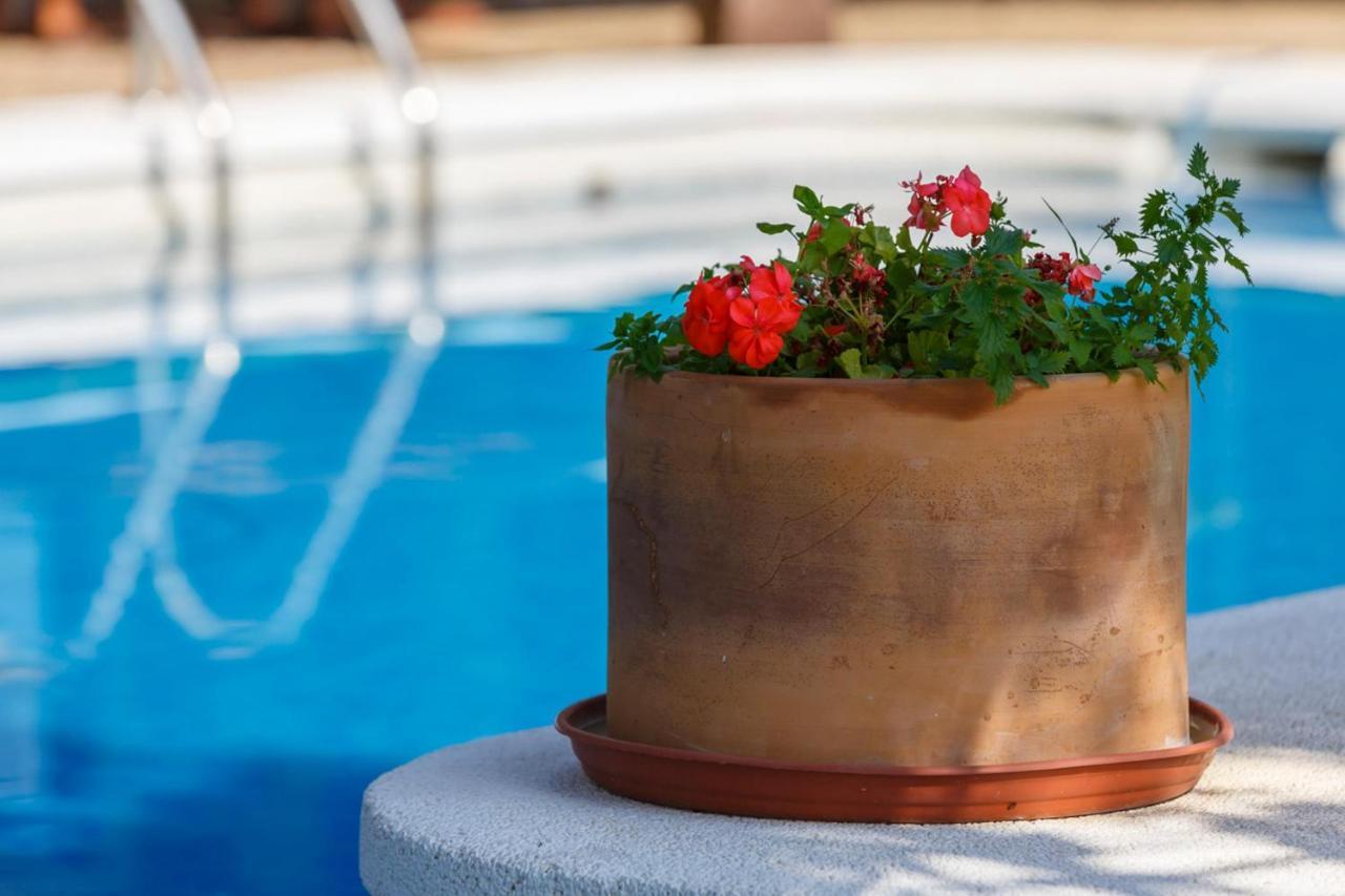 Appartement Casa Glorieta En De Con Piscina *